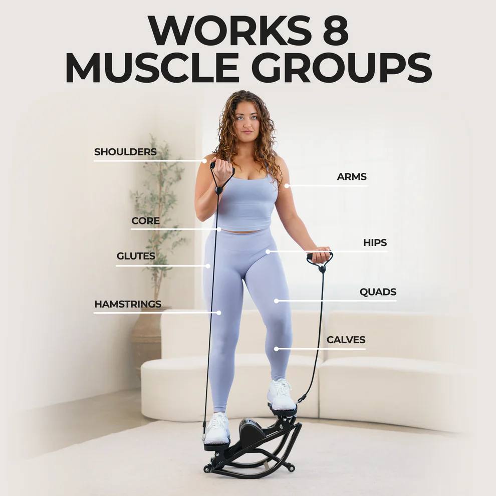 Home Twist Stepper